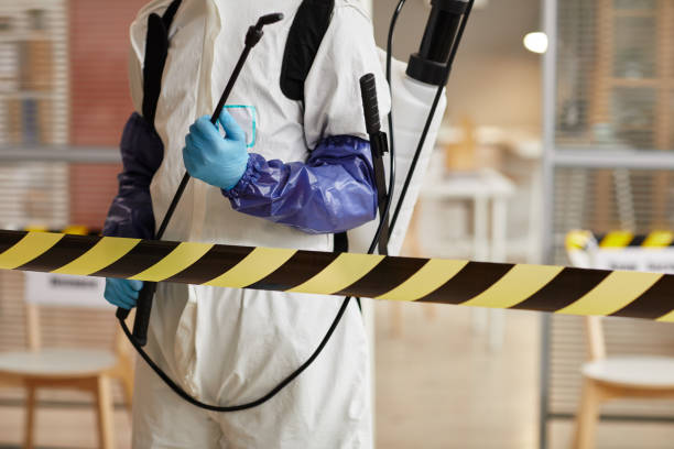 Professional Sewage Cleanup technician working in Ringwood, NJ